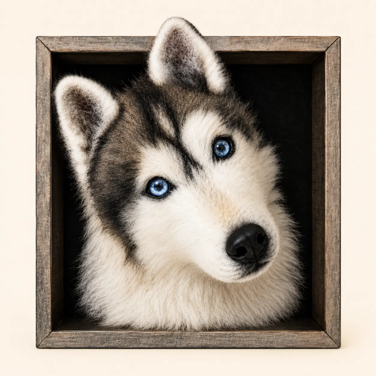Retrato de Husky Siberiano em feltragem